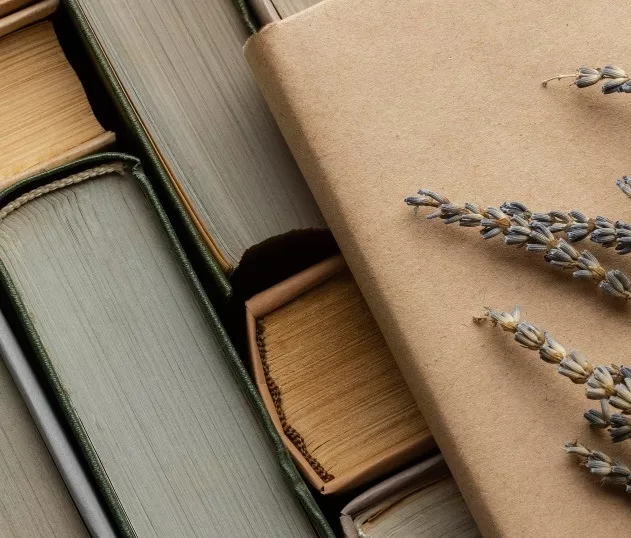 Первое издание «Евгения Онегина»: почему книга стала редкостью