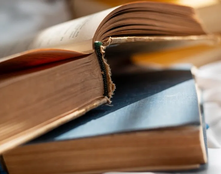 Редкие и ценные издания: какие книги мечтают заполучить коллекционеры?