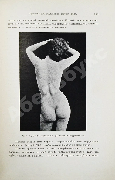 Антикварная книга Штратц, К.Г. Красота женского тела — Штратц Карл Генрих, 1901 дополнительное фото 6