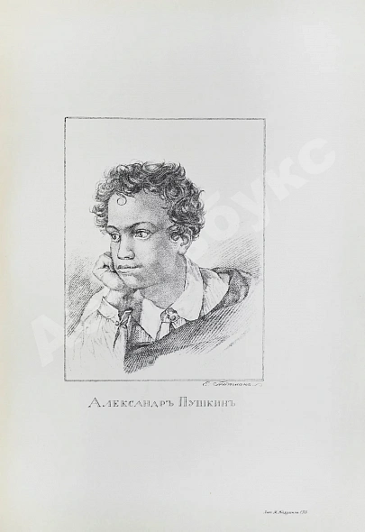 Антикварная книга Библиотека великих писателей. Полный комплект в коллекционной сохранности — Байрон Джордж Гордон Пушкин Александр Сергеевич Шекспир Уильям, 1901-1915 дополнительное фото 13