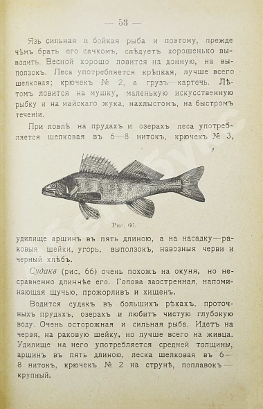 Антикварная книга Пирагис, Л.Ю. Рыболов-удильщик — , 1916 дополнительное фото 6