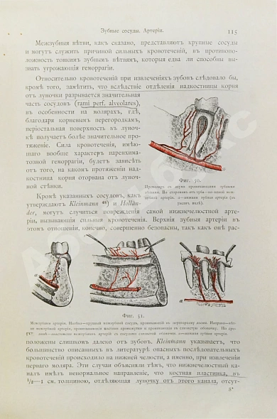 Антикварная книга Руководство к лечению зубных болезней — , 1893-1898 дополнительное фото 5