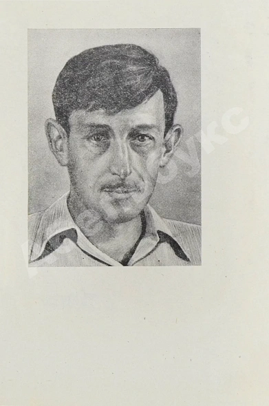 Антикварная книга Некрасов, В.П. [автограф Николаю Гринько] В окопах Сталинграда — Некрасов Виктор Платонович, 1971 дополнительное фото 5