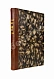 Антикварная книга Рерих, Н.К. Сердце Азии — Рерих Николай Константинович, 1929