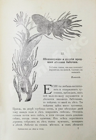 Антикварная книга Вагнер, Г. Путешествие по лесу и степи — , 1910 дополнительное фото 6