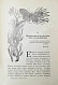 Антикварная книга Вагнер, Г. Путешествие по лесу и степи — , 1910 дополнительное фото 6