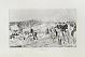 Антикварная книга Герцог Бофорт, Мобрей, М. Охота — , 1901 дополнительное фото 3