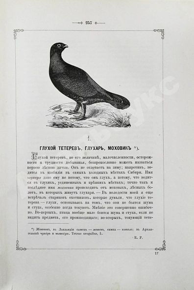 Антикварная книга Аксаков, С.Т. Записки ружейного охотника Оренбургской губернии — Аксаков Сергей Тимофеевич, 1885 дополнительное фото 6