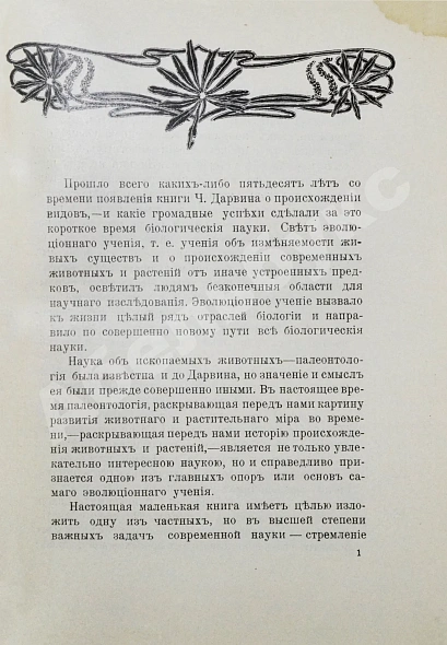 Антикварная книга Елачич, Е.А. О происхождении птиц и о вымерших птицах — Елачич Евгений Александрович, 1909-1910 дополнительное фото 4