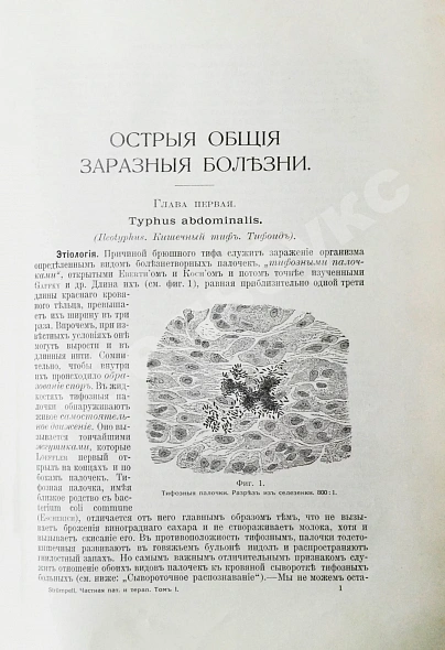 Антикварная книга Штрюмпель, А. Учебник частной патологии и терапии внутренних болезней — Штрюмпель Адольф, 1910-1911 дополнительное фото 5