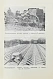Антикварная книга Московская орденоносная — , 1939 дополнительное фото 8