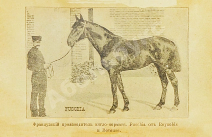 Антикварная книга Во, Ш.М. де. Верховая езда прежде и теперь — , 1900 дополнительное фото 5