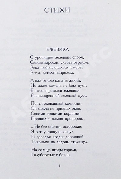 Искандер, Ф.А. [автограф] Ежевика. Стихи, поэмы, переводы, эпиграммы, шутки дополнительное фото 4