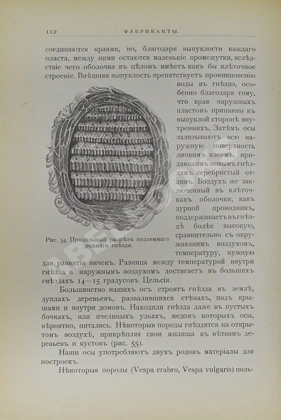 Антикварная книга Купэн, Г. Искусства и ремёсла у животных — ,  дополнительное фото 3