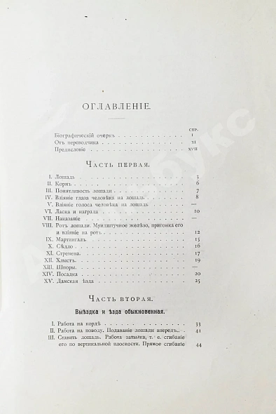 Антикварная книга Филлис, Д. Основы выездки и езды — , 1901 дополнительное фото 8