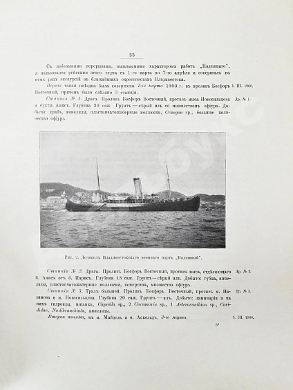 Антикварная книга Шмидт, П.Ю. Рыбы восточных морей Российской империи — , 1904 дополнительное фото 4