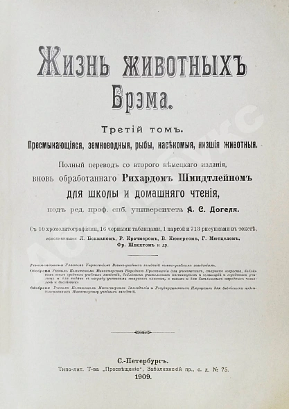 Антикварная книга Брэм, А. Жизнь животных Брэма — , 1902-1909 дополнительное фото 35