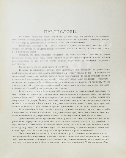 Антикварная книга Алфераки, С.Н. Гуси России — Алфераки Сергей Николаевич, 1904 дополнительное фото 6