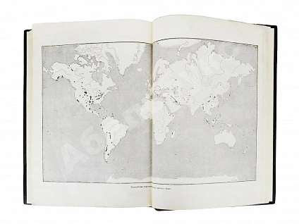 Антикварная книга Гофман, К. Нефтяная политика и англо-саксонский империализм — , 1930 дополнительное фото 4