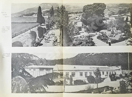 Антикварная книга Артек — , 1940 дополнительное фото 11