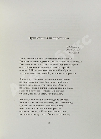 Антикварная книга Бродский, И.А. Примечания папоротника — Бродский Иосиф Александрович, 1990 дополнительное фото 5