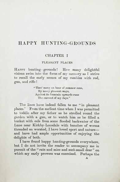 Антикварная книга Gathorne-Hardy, A.E. My happy hunting grounds — Gathorne-Hardy Alfred Erskine, 1914 дополнительное фото 4