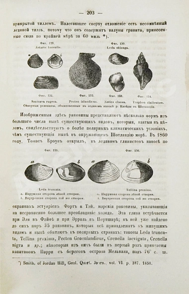 Антикварная книга Ляйель, Ч. Руководство к геологии или древние изменения земли и её обитателей, по свидетельству геологических памятников — Ляйель Чарльз, 1866-1878 дополнительное фото 6