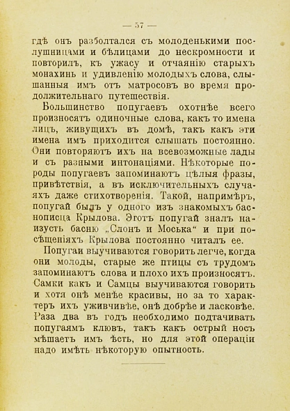 Антикварная книга Попугай — , 1902 дополнительное фото 4