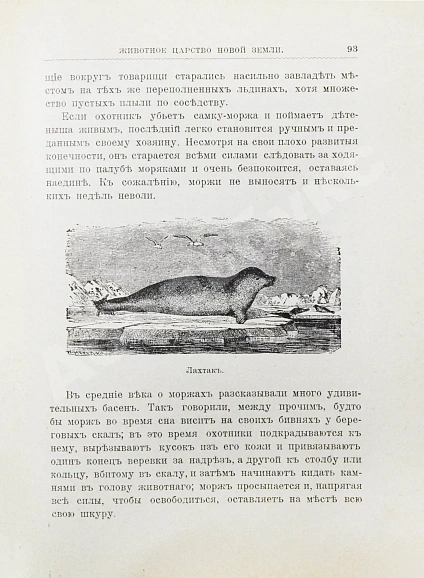 Антикварная книга Гранстрем, Э.А. Вдоль полярных окраин России — , 1905 дополнительное фото 7
