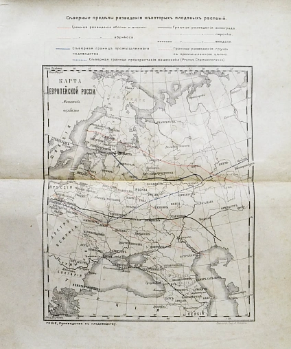 Антикварная книга Гоше, Н. Руководство к плодоводству для практиков — , 1890 дополнительное фото 4