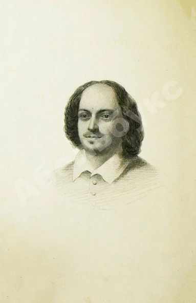 Антикварная книга Shakespeare, W. The Complete Works of William Shakespeare — Шекспир Уильям, 1899 дополнительное фото 5