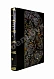 Антикварная книга Филлис, Д. Основы выездки и езды — , 1901