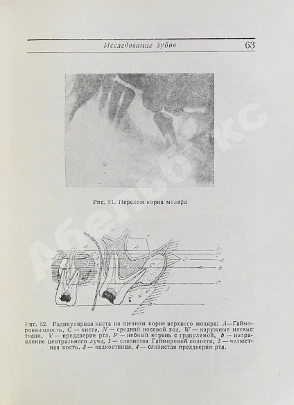 Антикварная книга Гофунг, Е.М., Лукомский, И.Г. Стоматология — Лукомский Илья Генрихович Гофунг Ефим Михайлович, 1937 дополнительное фото 6