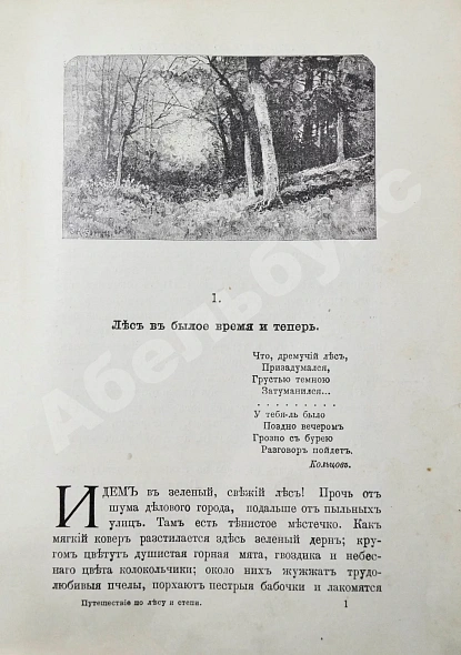 Антикварная книга Вагнер, Г. Путешествие по лесу и степи — , 1910 дополнительное фото 5