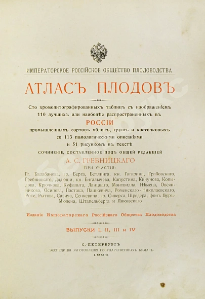 Антикварная книга Атлас плодов — Гребницкий Адам Станиславович, 1906 дополнительное фото 3