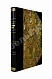 Антикварная книга Пинес, М.Я. История еврейской литературы (на еврейско-немецком диалекте) — , 1913