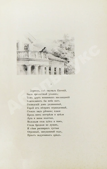 Антикварная книга Пушкин, А.С. Евгений Онегин. Роман — Пушкин Александр Сергеевич, 1893 дополнительное фото 7