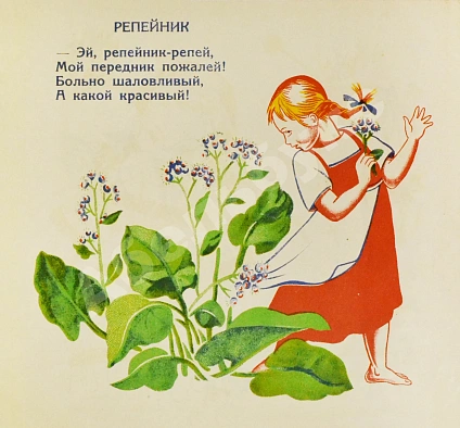 Антикварная книга Степанова, М.Д. Полевые цветы — Степанова Мария Дмитриевна, 1927 дополнительное фото 3