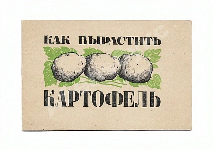 Антикварная книга Как вырастить картофель — Дейнеко Ольга Константиновна, 1942
