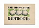 Антикварная книга Как вырастить картофель — Дейнеко Ольга Константиновна, 1942