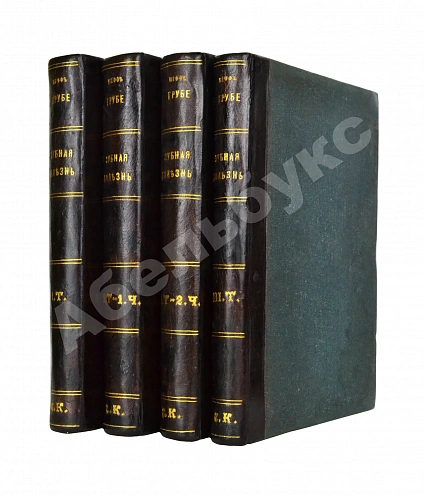 Антикварная книга Руководство к лечению зубных болезней — , 1893-1898 дополнительное фото 2