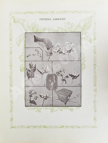 Антикварная книга Сельскохозяйственный промысел в России — , 1914 дополнительное фото 15
