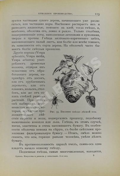 Антикварная книга Купэн, Г. Искусства и ремёсла у животных — ,  дополнительное фото 4