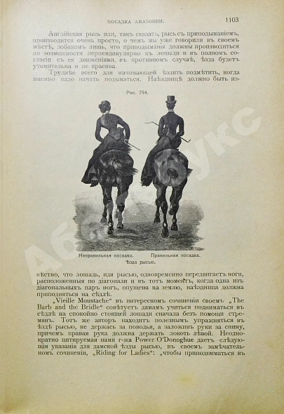 Антикварная книга Урусов, С.П. Книга о лошади — Урусов Сергей Петрович, 1902 дополнительное фото 15