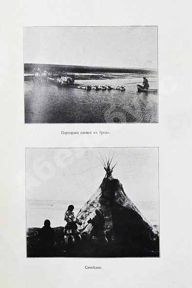 Антикварная книга Новосильцов, А.Н. Большеземельская тундра и ледовитый океан — , 1907 дополнительное фото 7