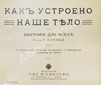 Антикварная книга Клюнц, Г. Как устроено наше тело. Анатомия для всех — Клюнц Г., 1912 дополнительное фото 3