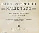 Антикварная книга Клюнц, Г. Как устроено наше тело. Анатомия для всех — Клюнц Г., 1912 дополнительное фото 3