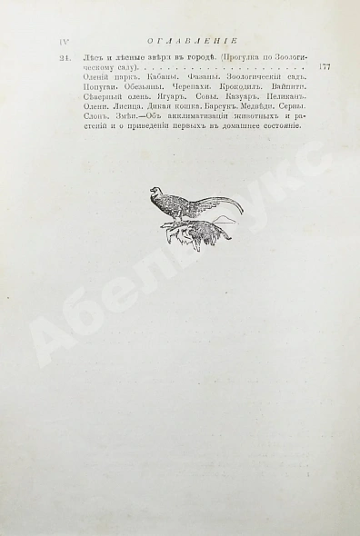 Антикварная книга Вагнер, Г. Путешествие по лесу и степи — , 1910 дополнительное фото 10