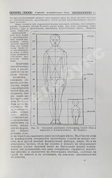Антикварная книга Мужчина и женщина — , 1911 дополнительное фото 9