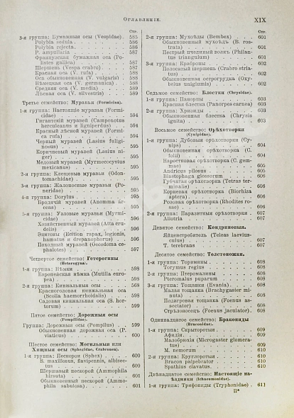 Антикварная книга Брэм, А. Жизнь животных Брэма — , 1902-1909 дополнительное фото 52